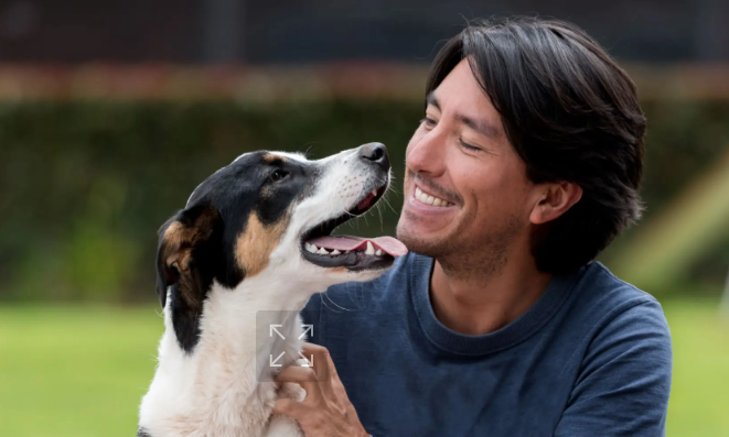 Veterinary Case Study