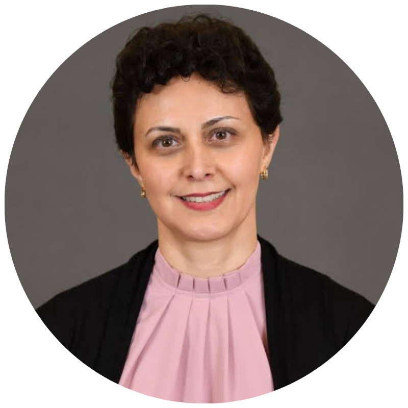 Shahrzad Missaghi - Director, Technical Strategy & Business Development