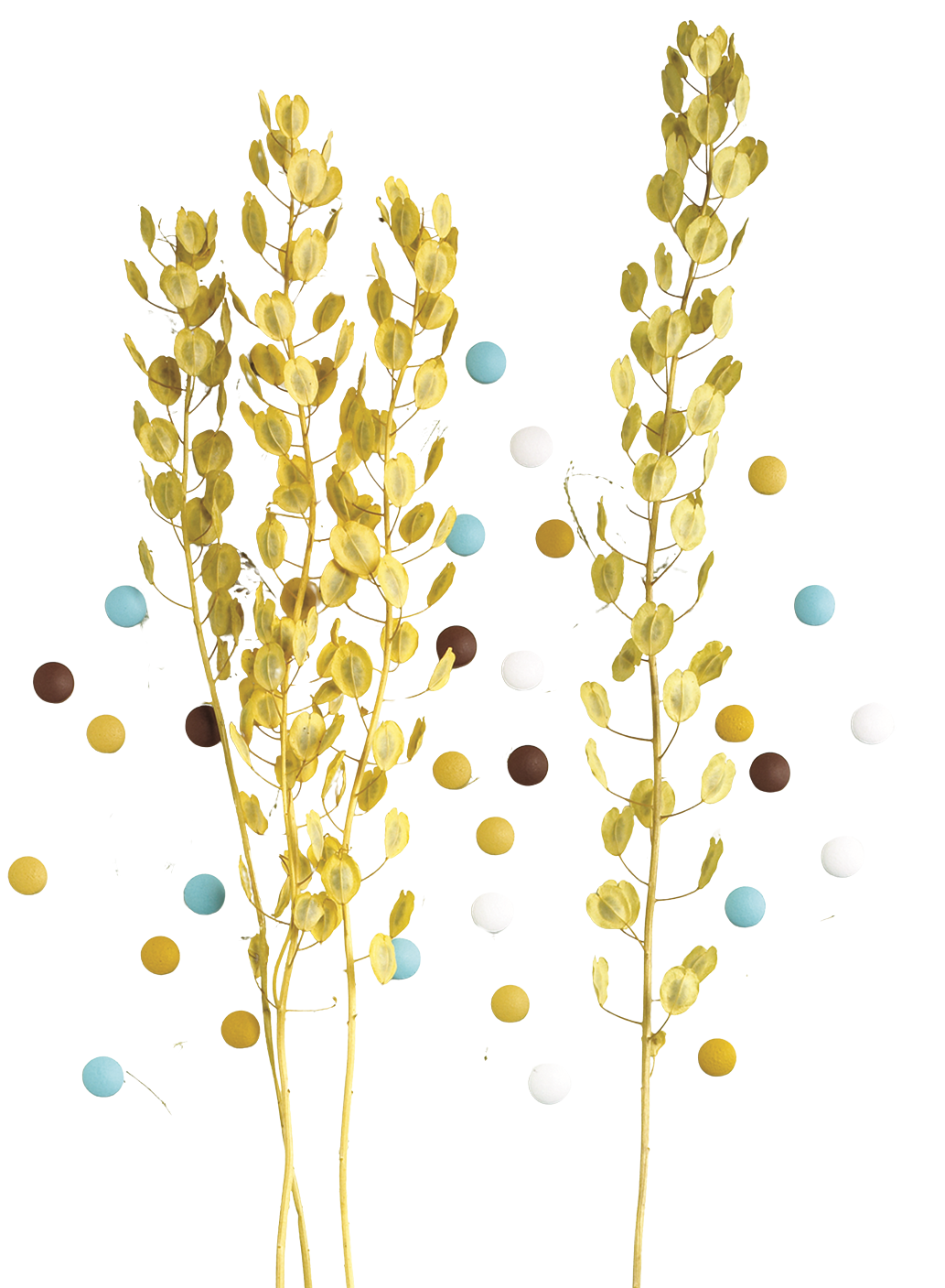 cf4f14c6-963f-4cb3-8ab7-40046581bdc3